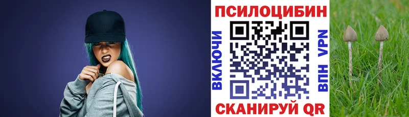 Галлюциногенные грибы Cubensis  Сортавала 